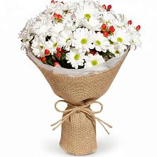Букет цветов из:  Хризантемы #REPLACE_PRED# Паниках